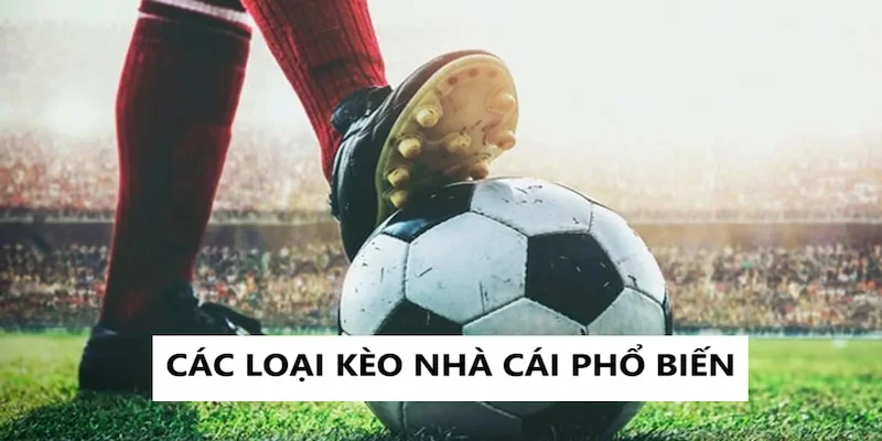 Người chơi có thể đặt cược vào nhiều loại kèo khác nhau